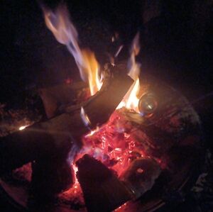 Meet your Posher, Drake